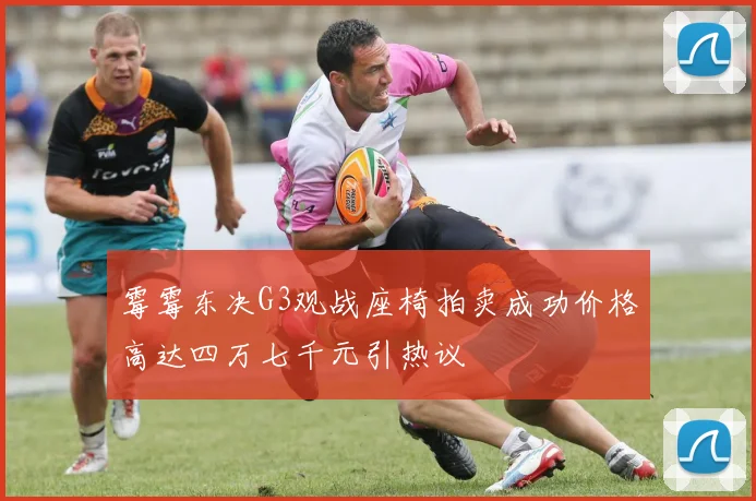霉霉东决G3观战座椅拍卖成功价格高达四万七千元引热议
